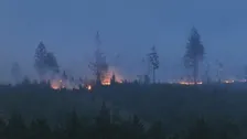 ベルギー東部で過去最大規模の山火事