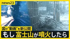 “東京・新宿で最大10㎝”首都圏に迫る火山灰　「富士山噴火シミュレーション動画」国が新公開　“雪の約5倍”の重さを体験　「1週間分の備蓄を」インフラへの影響は【news23】