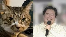 【 やす子 】「実は千葉に移住して保護猫9匹飼ってました！」　保護猫1匹目「ハッピー」の画像を公開
