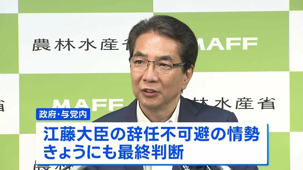 「コメ買ったことはない」発言の江藤農水大臣　政府・与党内で辞任不可避の情勢