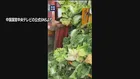 中国　発がん性指摘のホルムアルデヒドに浸した白菜めぐり3人を刑事拘留
