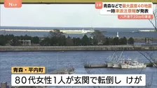青森などで震度4　東北と北海道に一時津波注意報　八戸港で20cmの津波観測　後発地震注意情報は発表されず