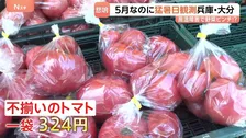 今シーズン初の猛暑日・大分県日田市と兵庫県豊岡市で35.3℃！暑さ前倒しで野菜が悲鳴 キャベツが茶色に…　そんな中、お得な野菜の穴場を発見！「安い！大歓迎」