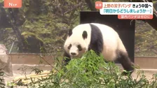 東京・上野動物園の双子パンダ きょう中国へ向け出発 「明日からどうしましょうか…」ファンからは別れを惜しむ声　日中関係悪化で新たな貸与の見通し立たず