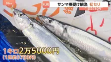 サンマの初競り「1匹あたり約3750円」 今年はサイズ小さく“比較的安い値” 北海道・根室の棒受け網漁で水揚げ