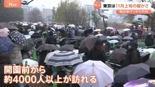 11月上旬並みの暖かさの中で…“予約なし”パンダ観覧に4000人以上が訪れる　22日朝からは寒さ戻る　寒暖差に注意