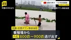 800～900匹のヘビが養殖場から逃げ出す コブラにかまれた女性死亡 中国・広西チワン族自治区で台風10号の豪雨による洪水発生