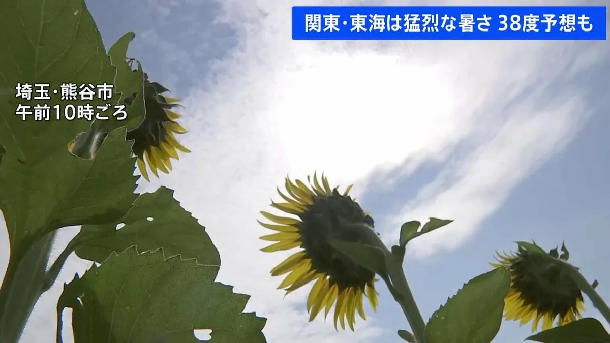 関東地方などで猛烈な暑さ40℃に迫る地域も　東京は3日連続の猛暑日の見込み