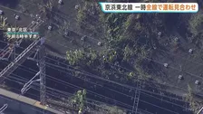 京浜東北線 倒木で一時全線運転見合わせ　約2時間後に運転再開も一部列車に遅れや運休も　倒木の原因調査中