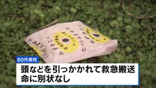 自宅敷地内にネズミ駆除剤まいていた80代男性、体長1.5メートルのクマに襲われけが 命に別状なし　福島・会津坂下町