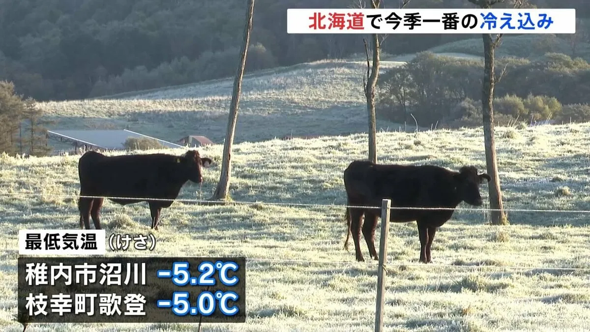 北海道・稚内でマイナス5.2℃　道内各地で今季一番の寒さに