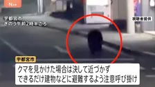 宇都宮市中心部でクマ目撃“40件以上”「一目で鳥肌が」街中の出現に戸惑い　市立小中学校が臨時休校　猟友会など捜索続ける