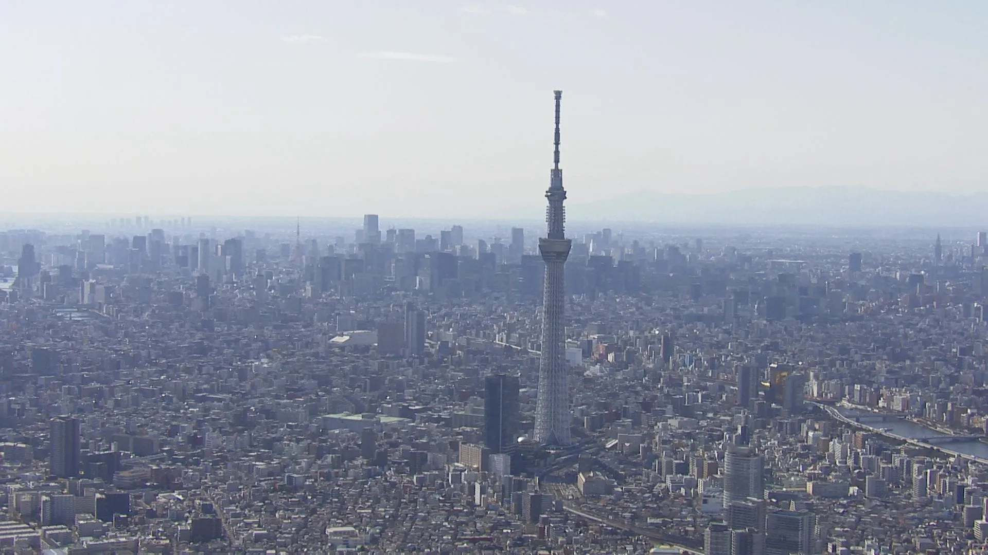 2月の倒産件数 768件　34か月連続で増加　2024年度の合計は11年ぶり1万件台へ