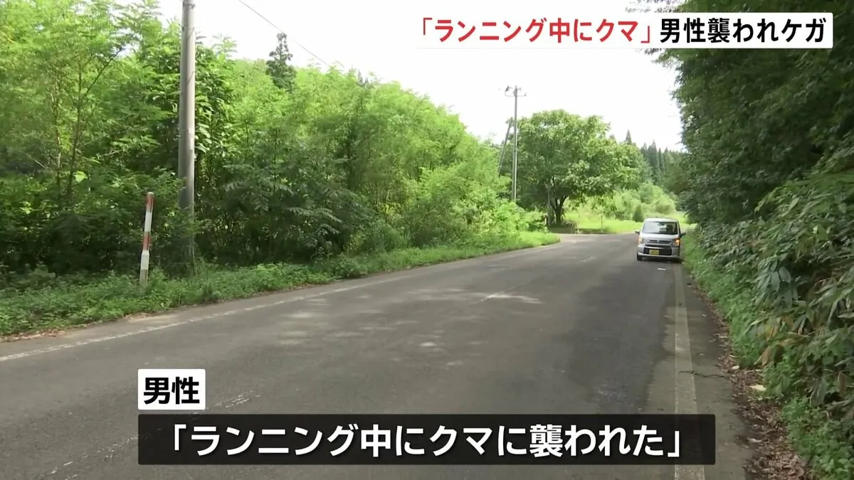 「ランニング中にクマに襲われた」69歳男性が頭から流血した状態で見つかる　病院に搬送、意識あり　秋田・北秋田市の県道