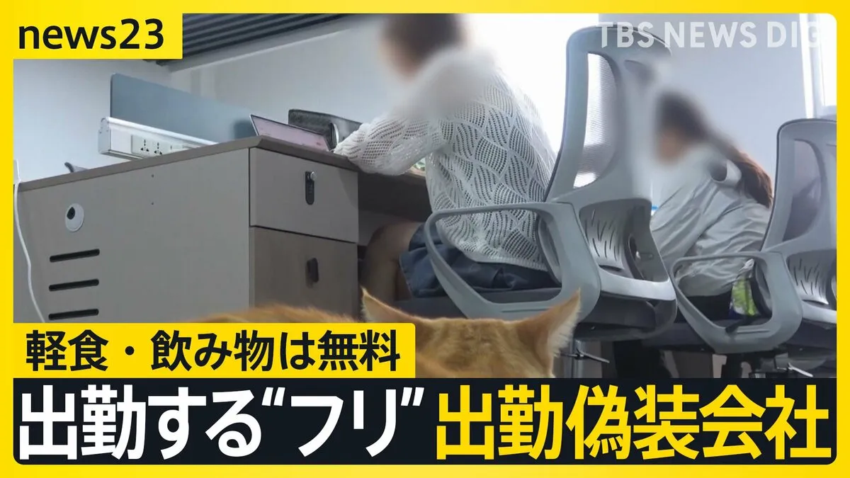 “失業バレたくない” 深刻な就職難の中国で「出勤偽装会社」が若者に人気　オフィスにはネコも…窓には『偽装出勤』の看板も【news23】