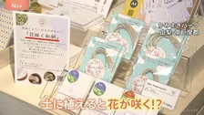 水に浸して土に植えると花が咲く！？不思議な和紙　新たな付加価値とサステナブル【SUNトピ】