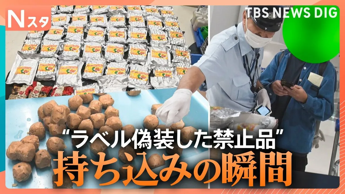 カメラが撮った！“ラベル偽装した禁止品”持ち込みの瞬間 「成田空港動植物検疫」を密着取材！コメ持ち込み急増の理由とは？【それスタ】
