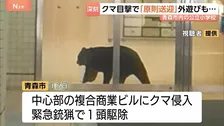 「子どもが遭遇しないか不安」15日に緊急銃猟で駆除もクマ目撃情報3日間で180件の青森市　6割の小中学校で保護者送迎を原則
