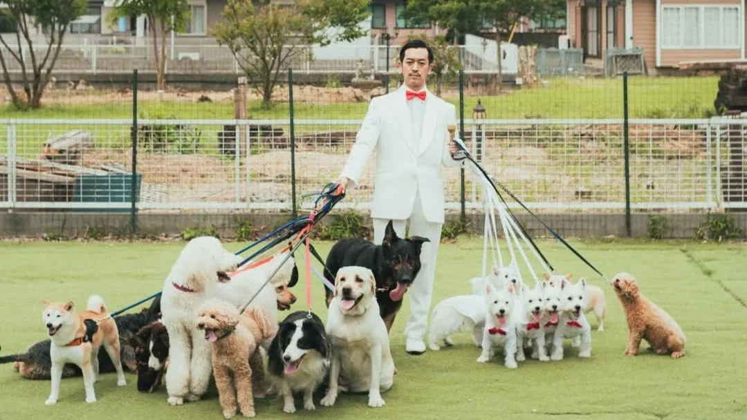 【 いぬ 】ムーディ勝山 “コーラス隊” の犬たちと悠々闊歩　ドッグランで犬に囲まれ大人気　フォロワー感嘆「犬は人を見分ける」