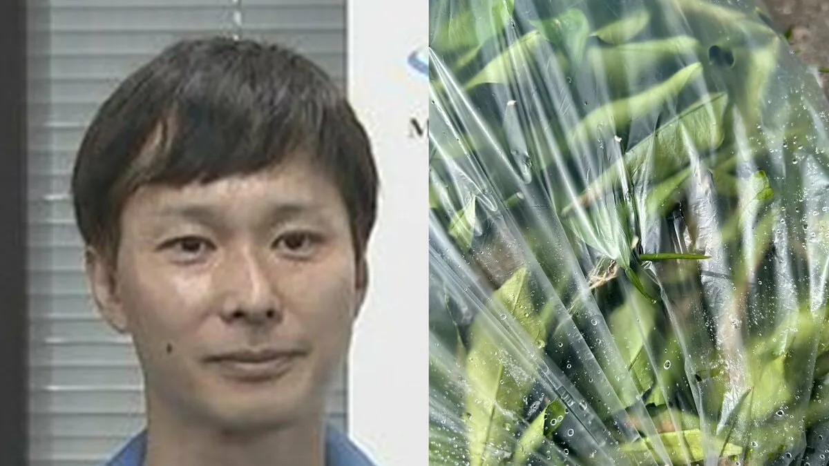 【ごみ清掃芸人】「棘のある草木はわかりやすいようにしていただけると助かります。」【マシンガンズ滝沢】
