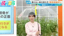 「傘」の持ち方で濡れ方が変わる！？「クロス持ち」「骨を意識」すぐできる“濡れない”テクニック【ひるおび】