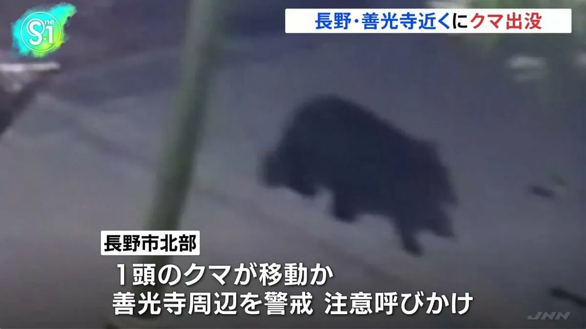 善光寺近くの防犯カメラに“歩くクマの姿”　長野市北部でクマの目撃情報相次ぐ　住民や観光客に注意呼びかけ　　