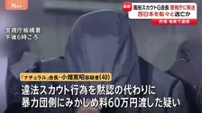 逮捕の風俗スカウトG「ナチュラル」会長 潜伏先の奄美大島から警視庁に移送　実態解明進める方針