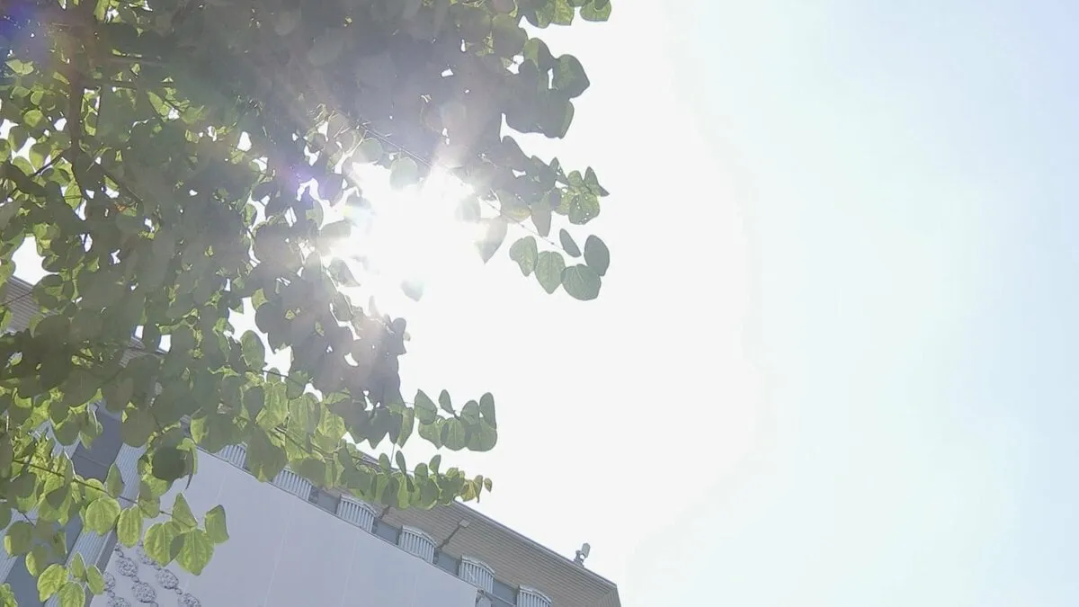熱中症警戒アラート　今年の発表数は過去最多の1749回
