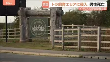 イギリスの野生動物公園でトラに襲われ男性死亡「男性がトラの飼育エリアに入り込んだ」と通報 囲いに入った理由は不明