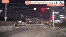 シルバーカーのタイヤが踏切内の溝にはまり立ち往生か　70代の女性が電車にはねられ死亡　神奈川・藤沢市
