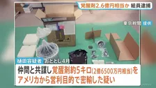 【速報】アメリカから覚醒剤隠し成田空港に密輸か 指定暴力団 住吉会「幸平一家」傘下組織の組員（30）を逮捕 覚醒剤事件は今年に入り増加傾向 警視庁