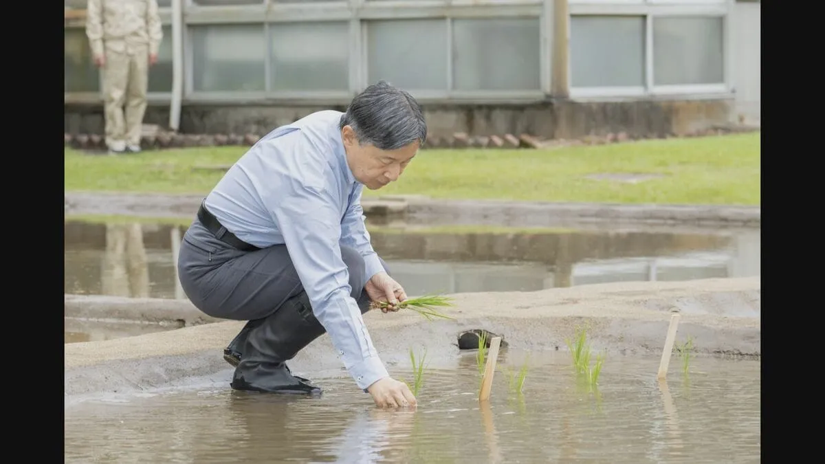 天皇陛下　皇居で毎年恒例の田植え 「うるち米」と「もち米」の苗 計20株を丁寧に植えられる　9月に約100キロ収穫予定