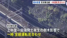 京浜東北線が全線で大幅遅延　上中里～田端間の“倒木”で一時運転見合わせ　JR東日本が原因調査