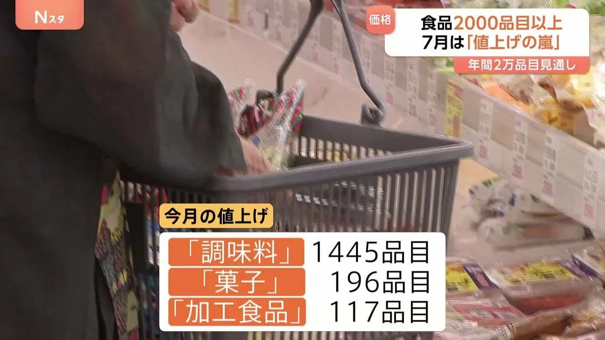 調味料や菓子を中心に2000品目以上が7月値上げ　1年間の値上げ数は2年ぶりに2万品目超か