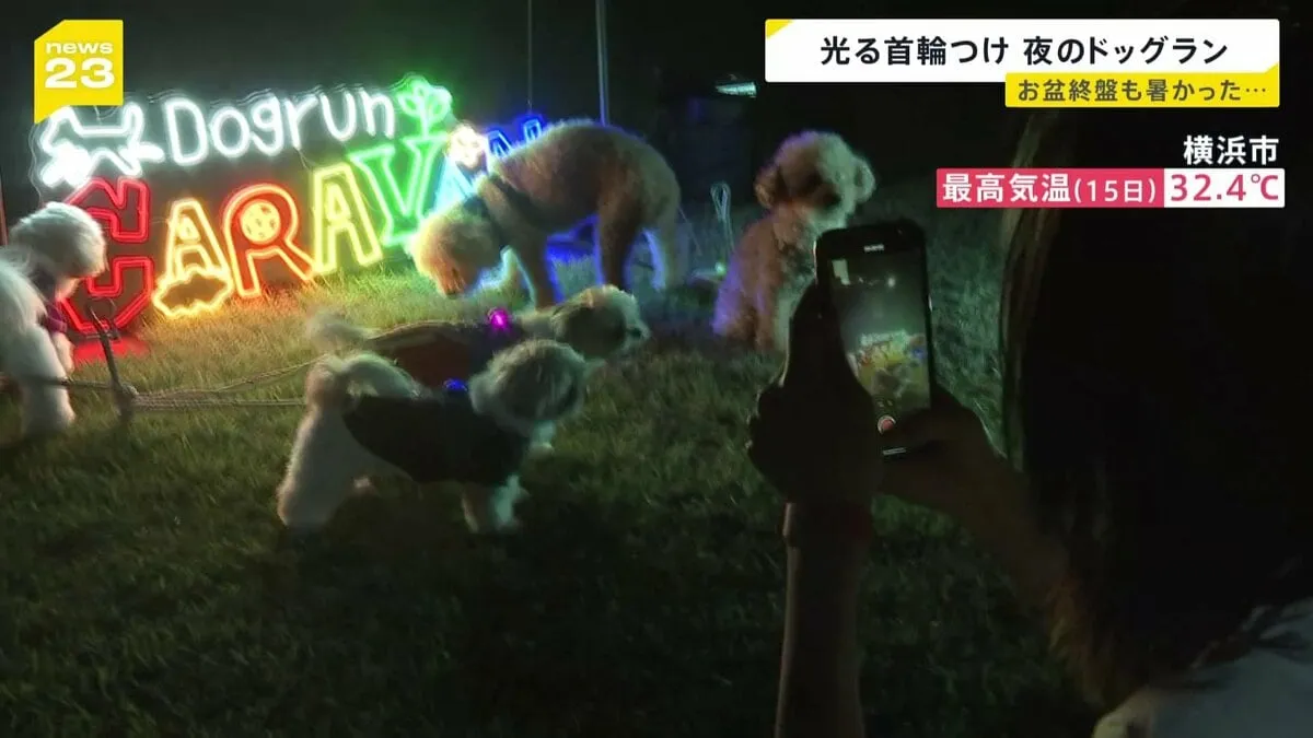 お盆休み終盤も厳しい暑さ　熱中症対策に夜のドッグランが人気　記録的大雨で被災の熊本にはボランティアの姿【news23】