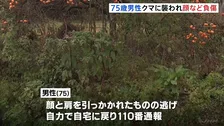 住宅の近くのヤブから突然クマ　75歳男性が顔と肩を引っかかれ病院搬送　山形・米沢市