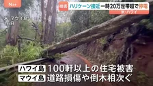ハリケーン「ララ」ハワイに接近で20万世帯超の大規模停電発生 住宅被害や倒木相次ぐ　熱帯低気圧に変化も“再びハリケーンになる可能性”