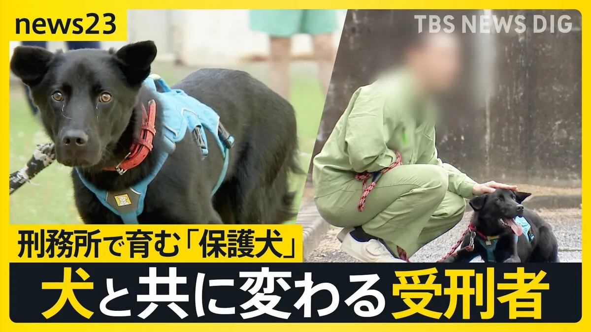 「保護犬」と学びあう受刑者たち…広島・尾道刑務支所の取り組みにカメラが密着「人に優しくできるようになった」 変わり始めた受刑者たち【news23】
