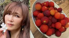 【 工藤静香 】　赤く実った「山桃」の収穫を報告　こだわりの手作りピクルスやハーブ炭酸水にファンから「お洒落」「何でもある」と絶賛の声