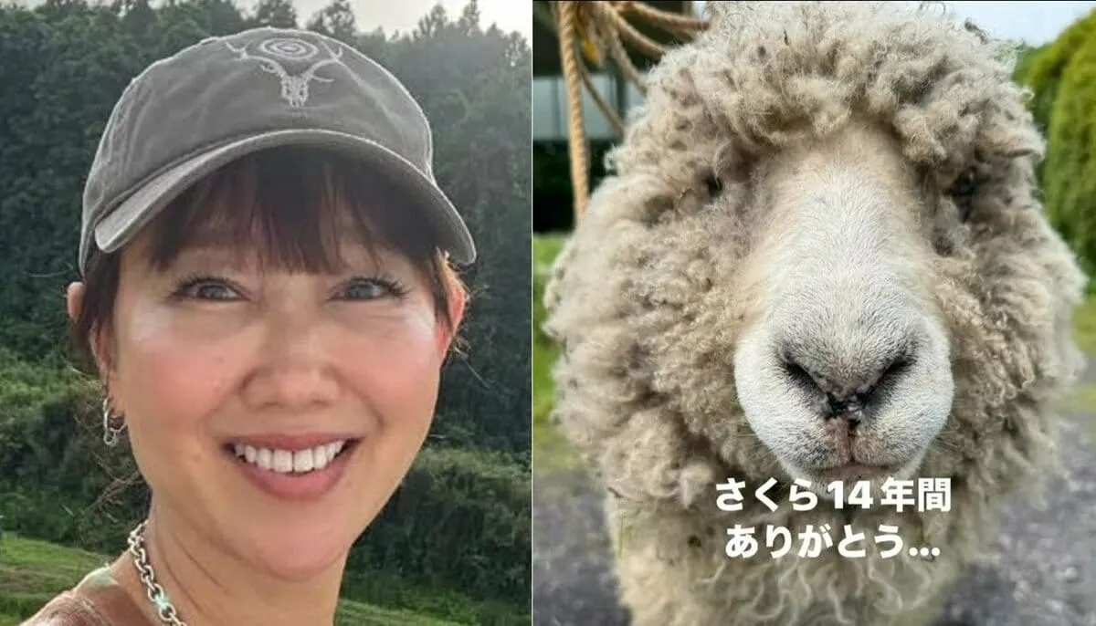 【 工藤夕貴 】　14年間・飼育した羊　「さくら」との別れを報告　「うちの裏庭をずーっと綺麗にしてくれていた」「本当にありがとう」　