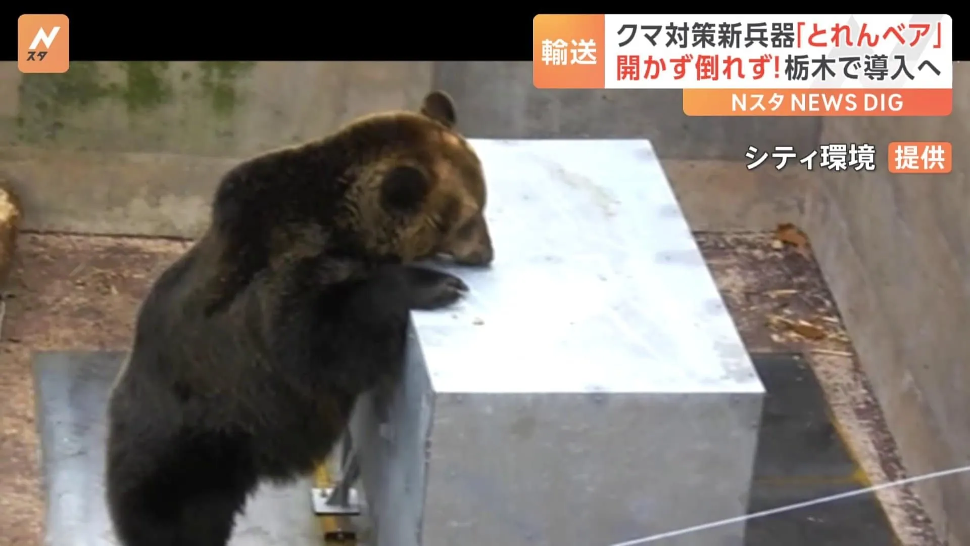 開かず！倒れず！クマ対策の新兵器「とれんベア」輸送開始　目撃急増の栃木で導入へ