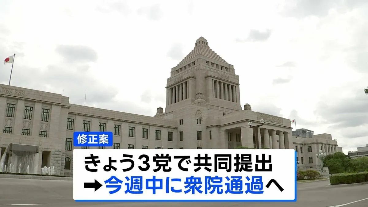 年金制度改革関連法案の修正案きょう国会に提出へ　基礎年金の底上げ盛り込む　今週中に衆院通過の見通し