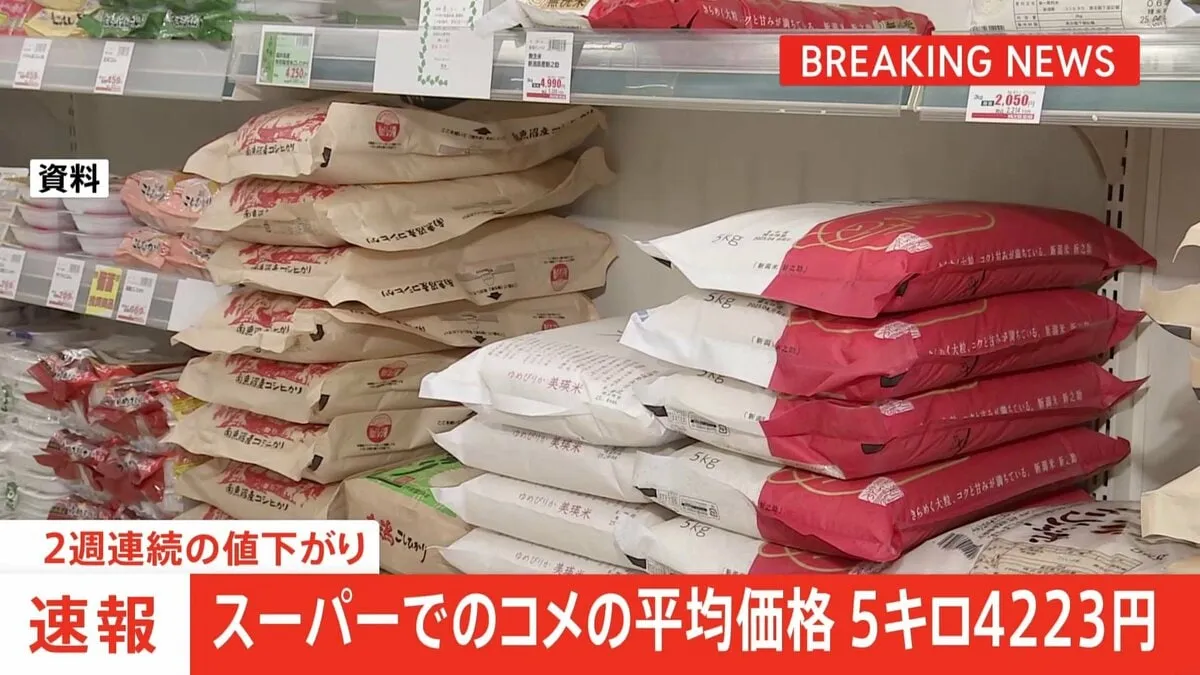 【速報】コメ平均価格5キロ4223円　2週連続の値下がり