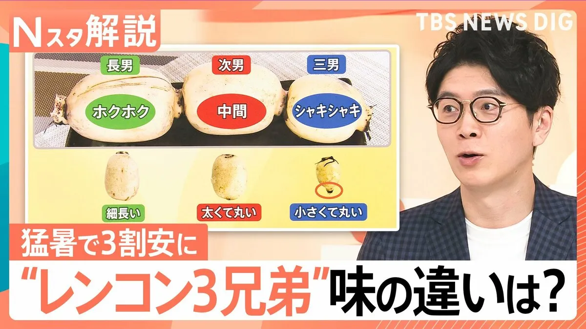 猛暑で豊作「レンコン」がお手頃価格に！部位で変わる「3兄弟」の味・食感とおすすめレシピ【Nスタ解説】