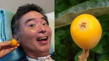 【 ALS闘病 】声優・津久井教生さん　「台風も来ているので〜収穫しました♡」「妻に刻んで軽くつぶしてもらって口から食べました♡」【ニャンちゅう】