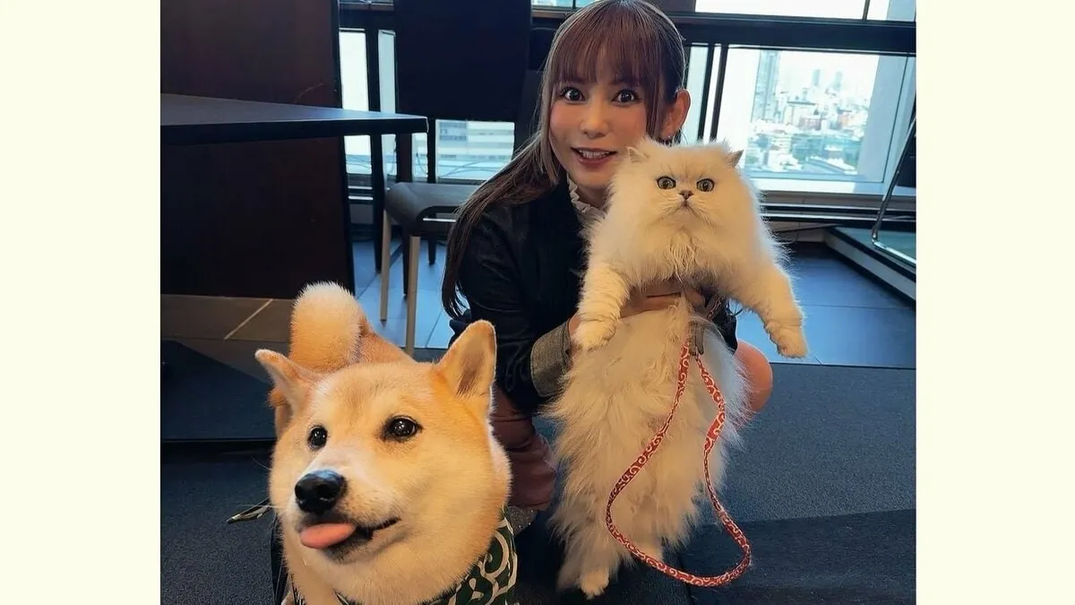 【中川翔子】「わたしが働くモチベーションは保護猫たちに寄付するため」イベント共演の犬猫に「デレデレ幸せ」　18歳の愛猫 “らいちゃん” も紹介「最強げんきおじいちゃん」