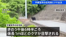 宇都宮市の住宅街でクマ目撃　体長1メートルほど　きょうも警察や猟友会などによる警戒活動