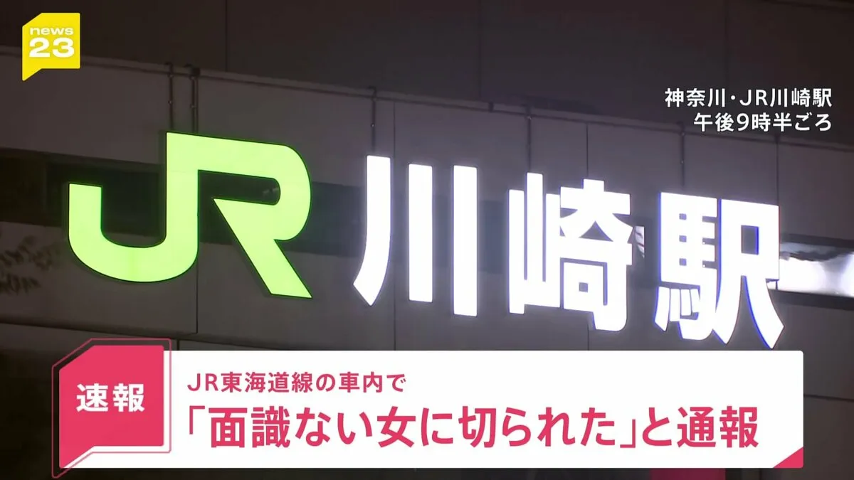 【速報】「面識ない女に腕を切られた」 JR川崎駅付近を走行中の東海道線車内で女が女性を切りつけて逃走【news23】