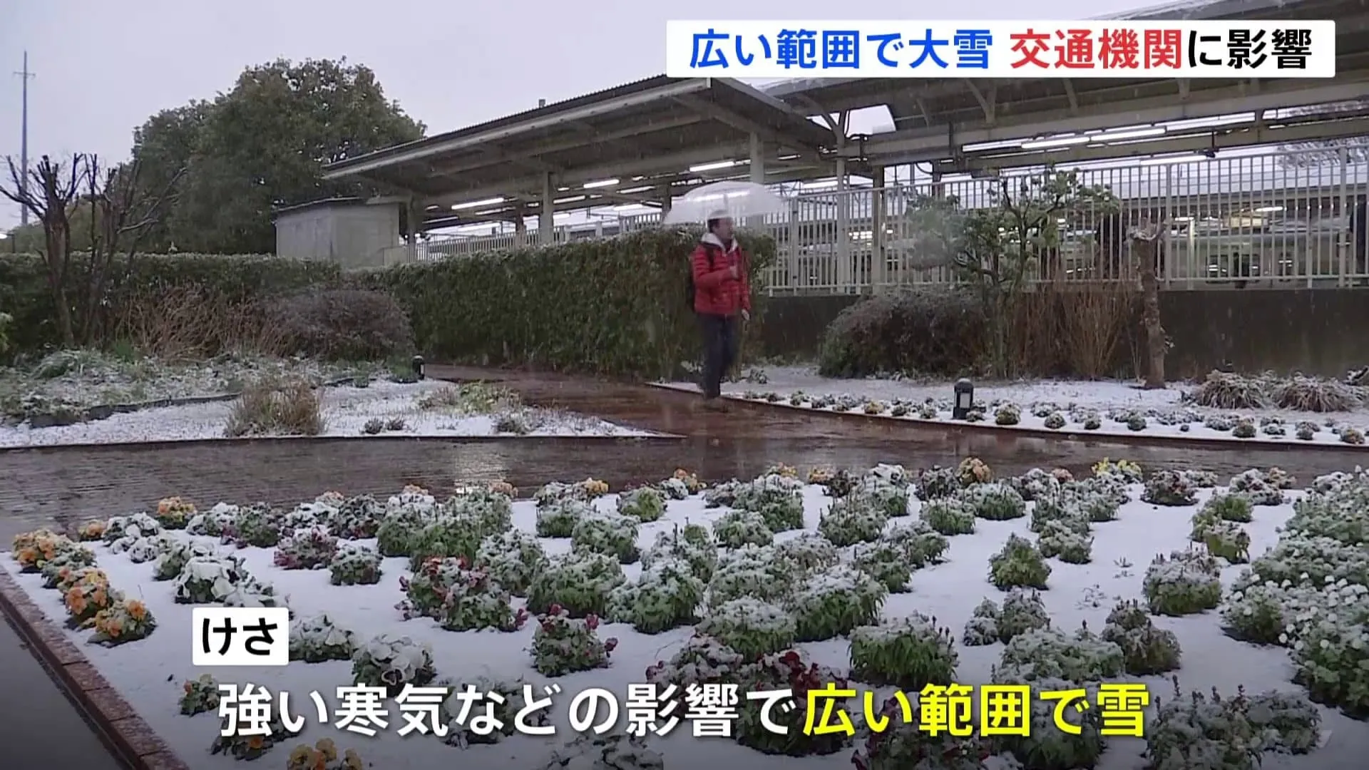 「梅咲いていたのに…」東京23区でも積雪　交通機関に影響　雪による車のスリップとみられる事故も相次ぐ