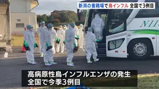 新潟県胎内市の養鶏場で鳥インフルエンザ発生　63万羽を処分
